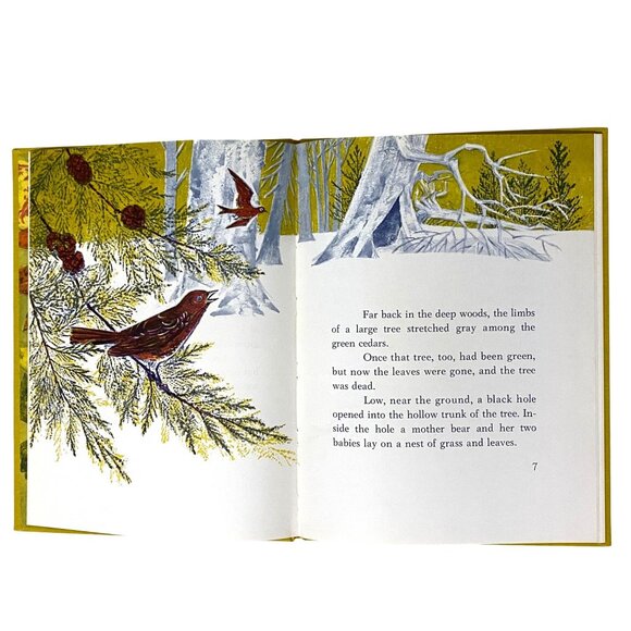 Cubby's World Story of a Baby Bear Hardcover Robbie Trent Wild Animals Vtg 60s - Picture 6 of 10